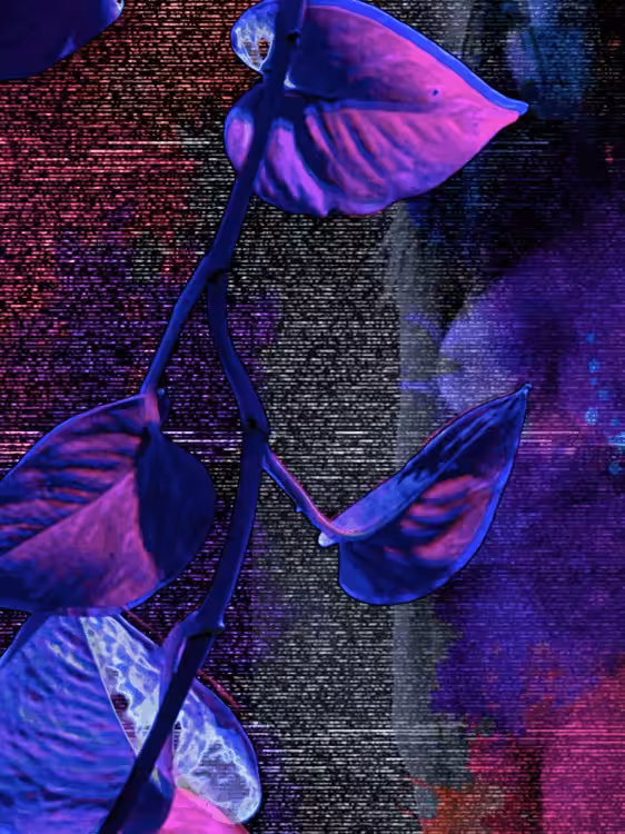 Genevieve’s Garden