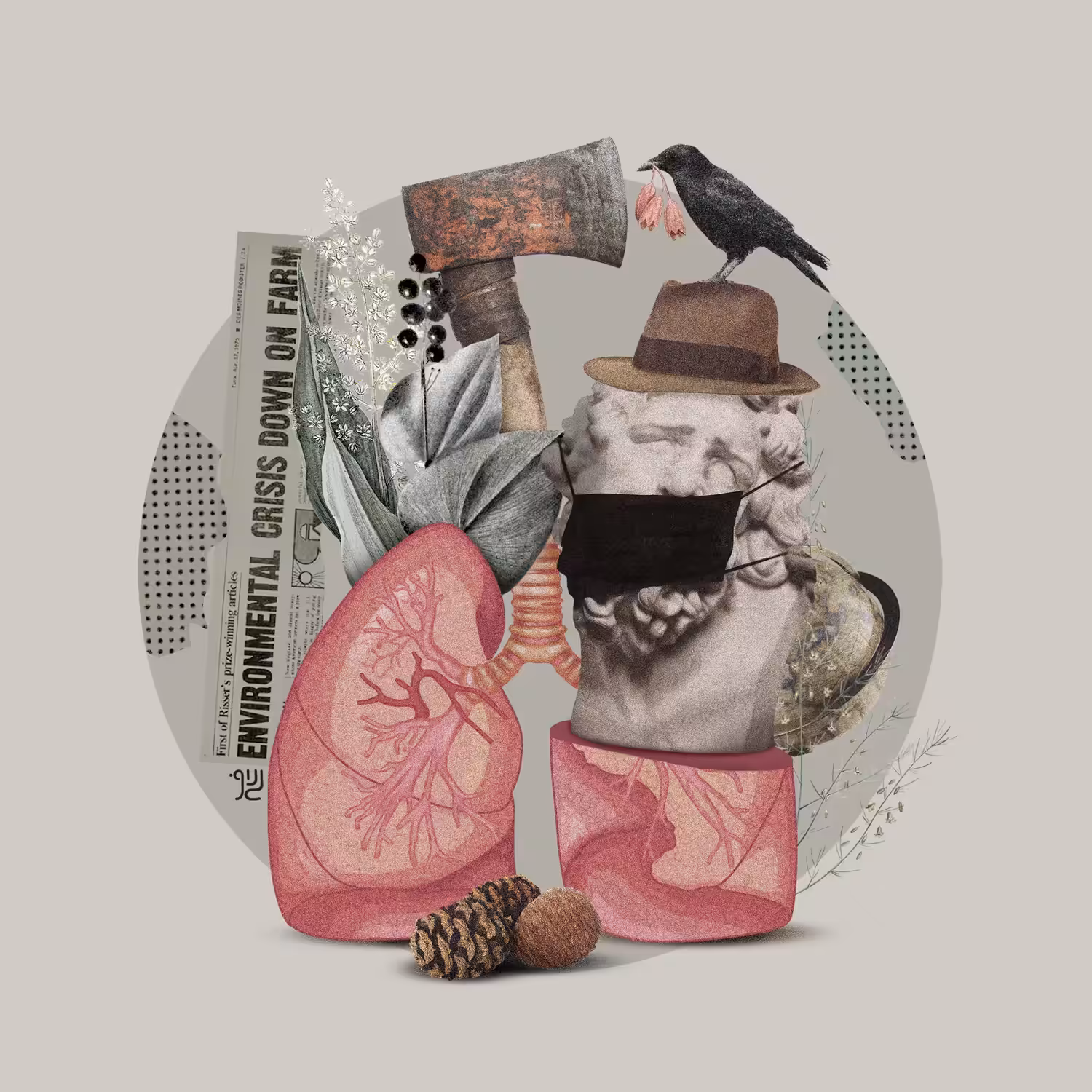 The Lungs 