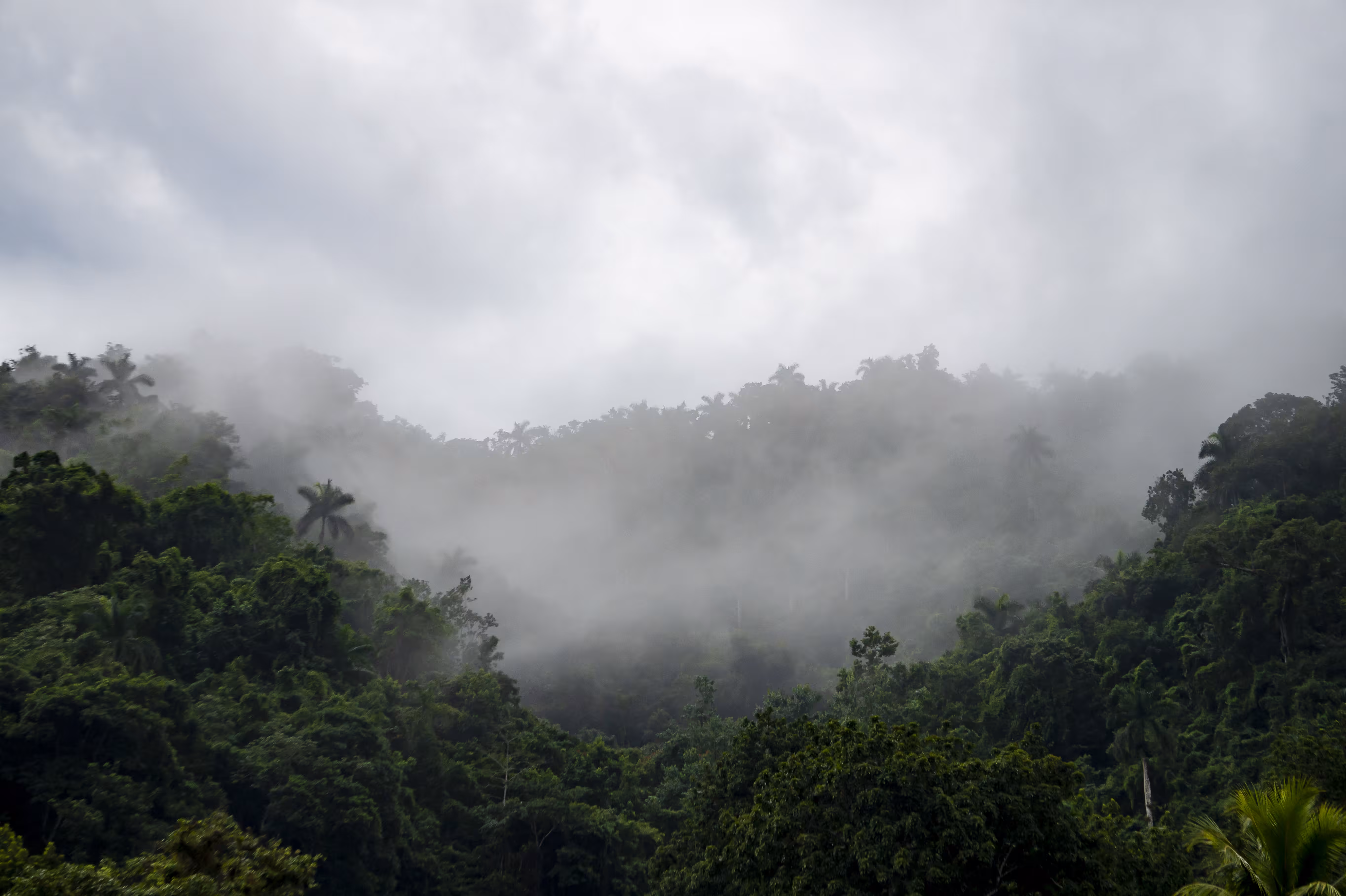 mountains in mist