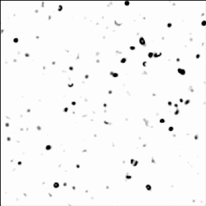 non-equilibrium bubbles: 7