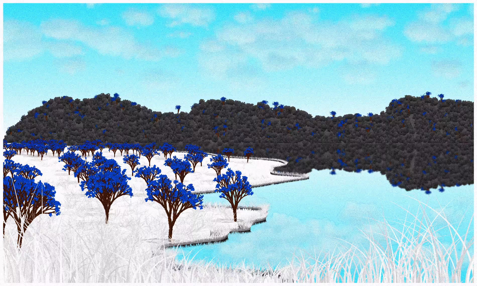 Reflected #19