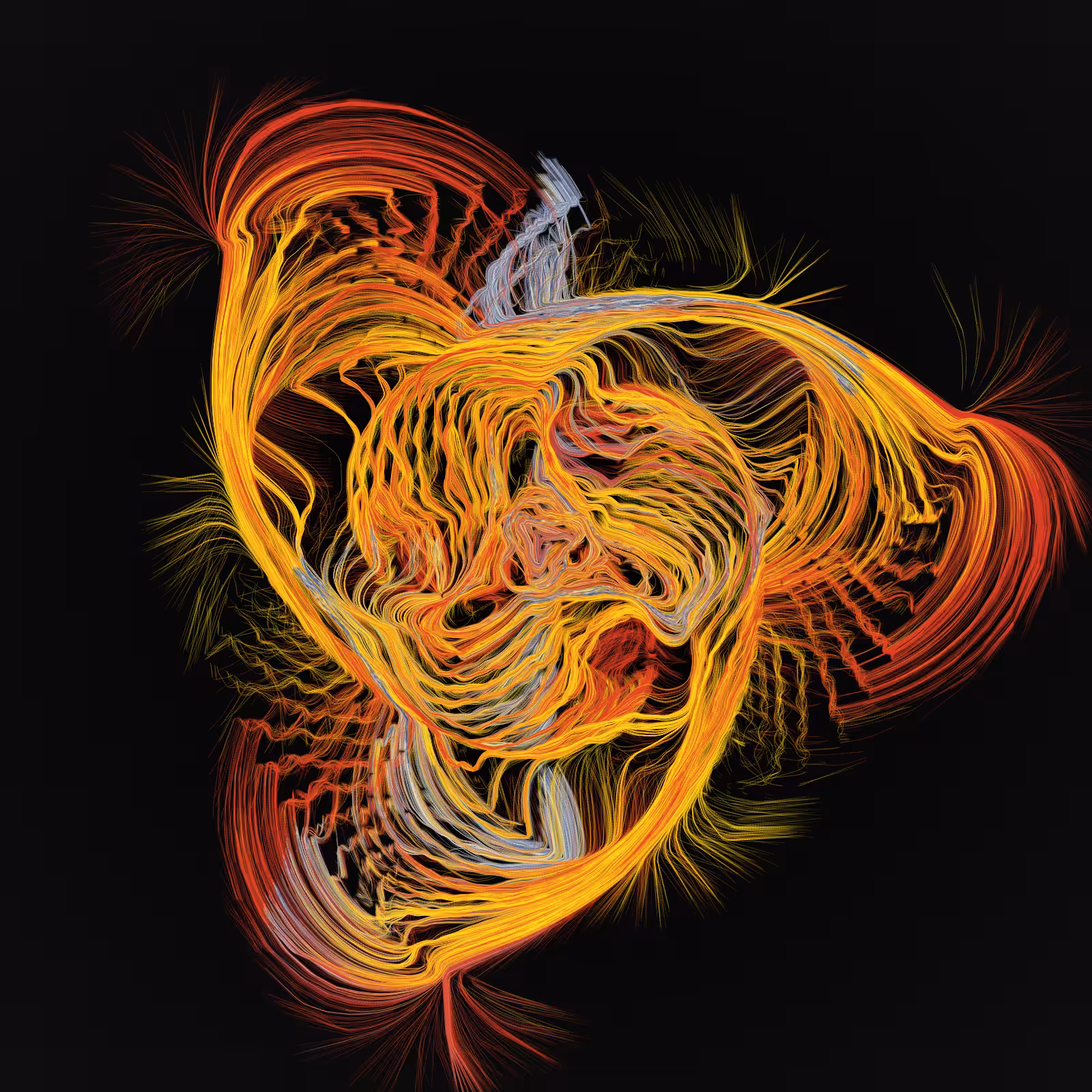 Dendrites #530