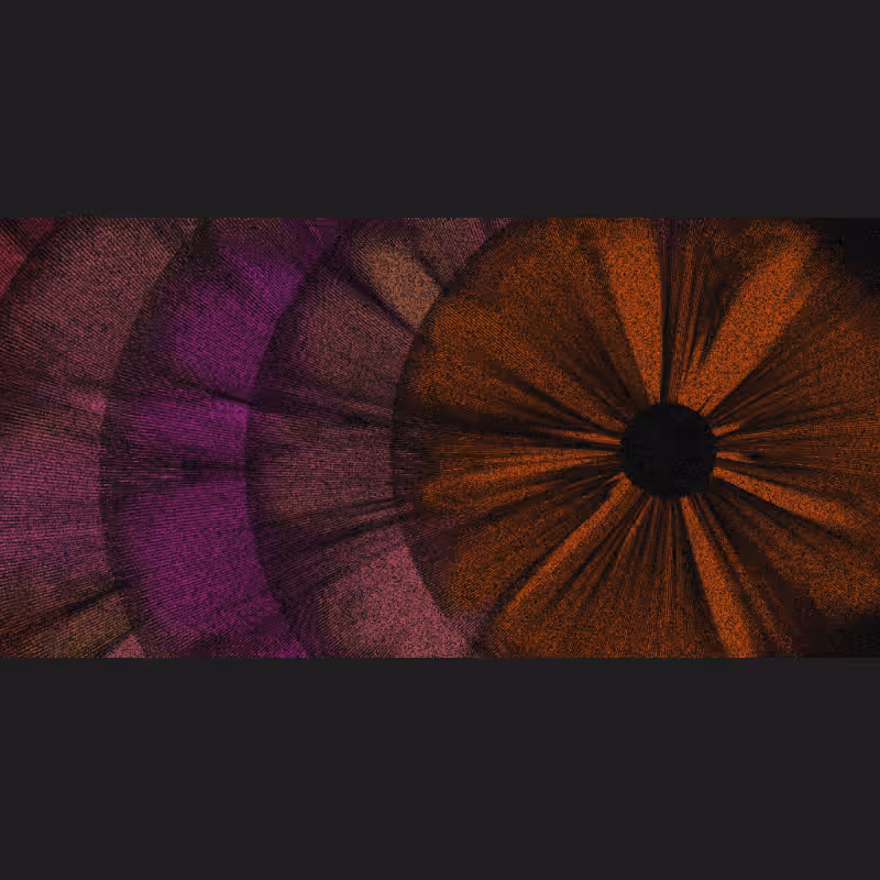 Chameleon #31