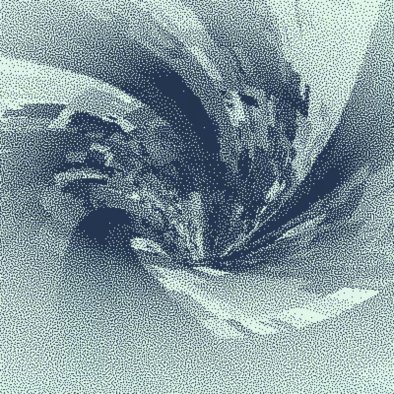 Down the Drain #141