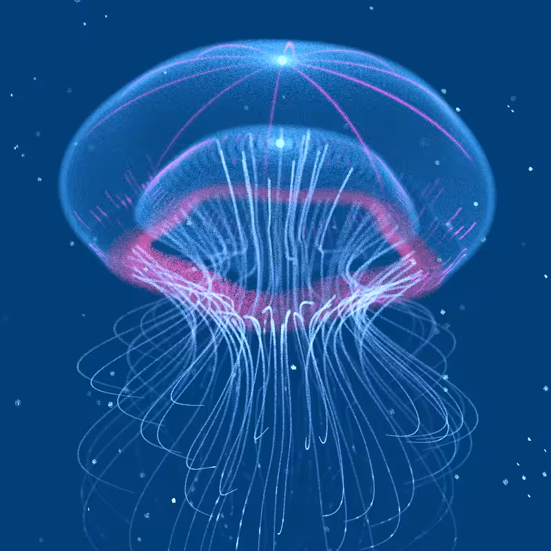 Creatures of the Deep #1 - The Jellyfish #25