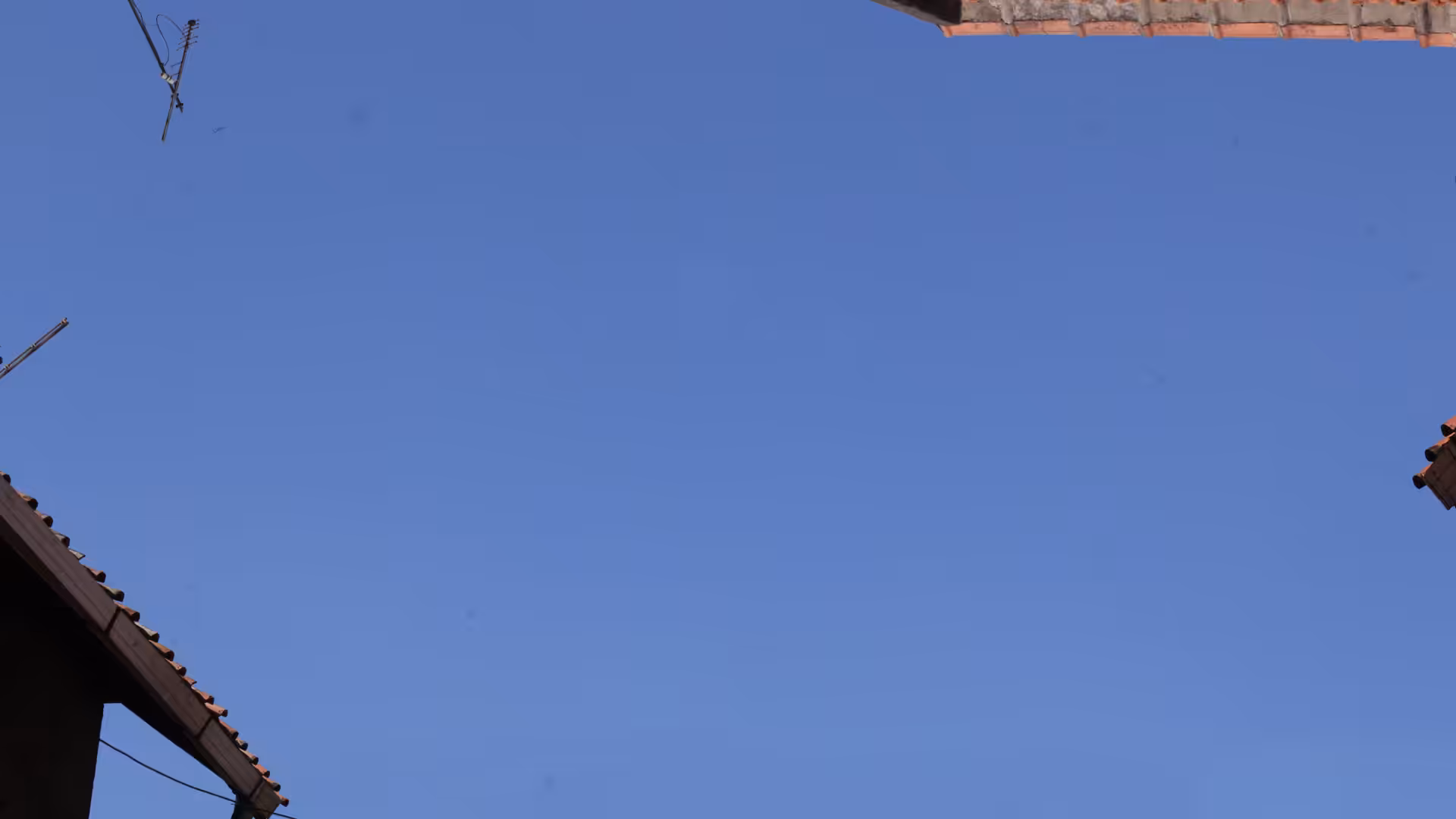 Blue Screen #16
