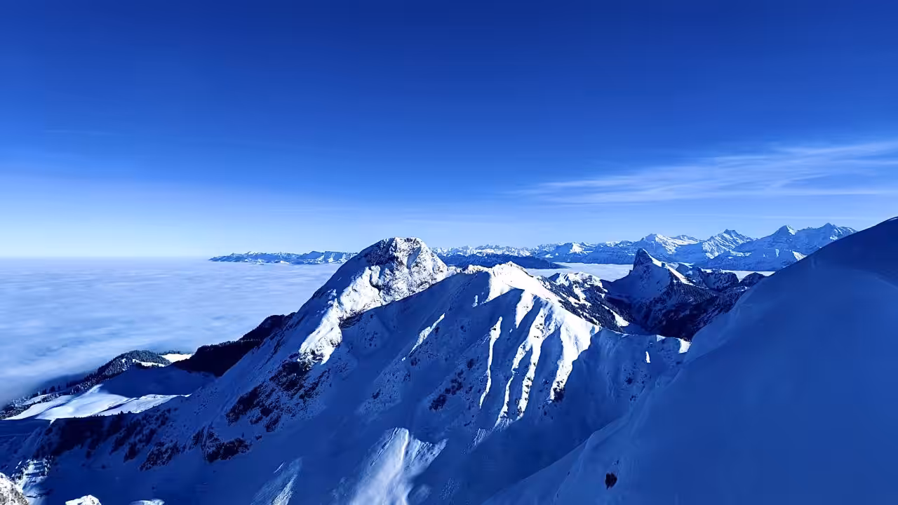 The White Skyline