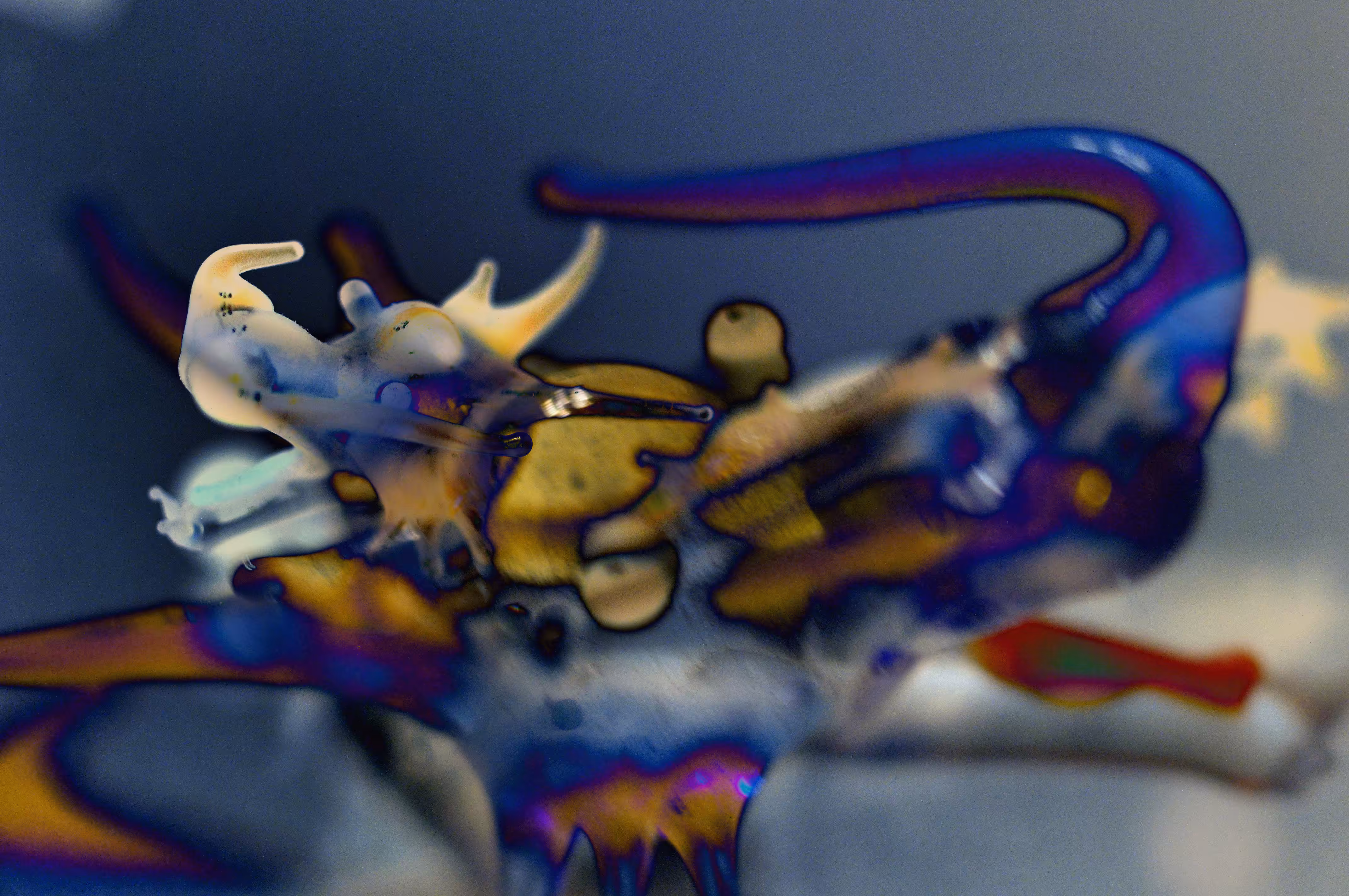 Orient
