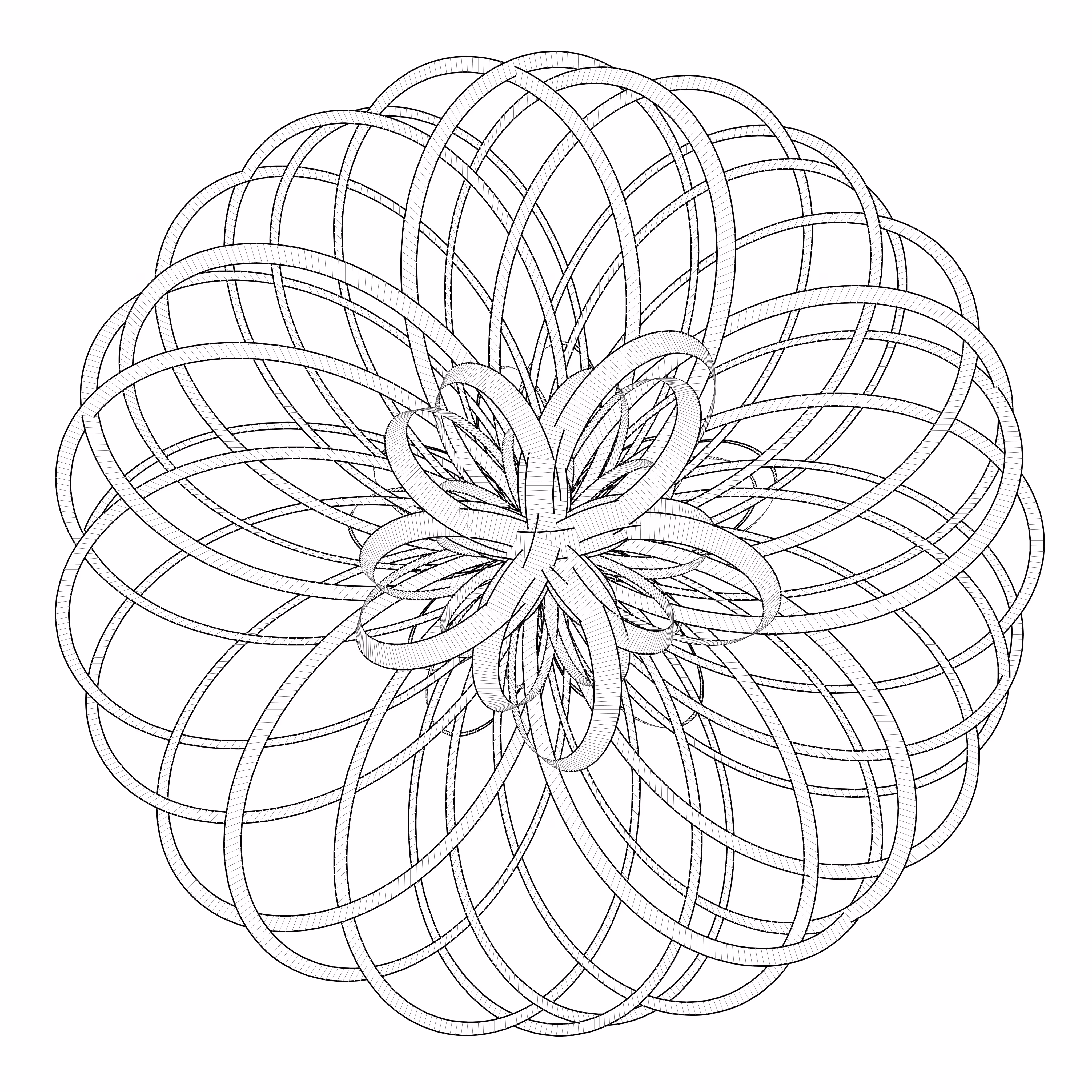 LL21 Entangled #447
