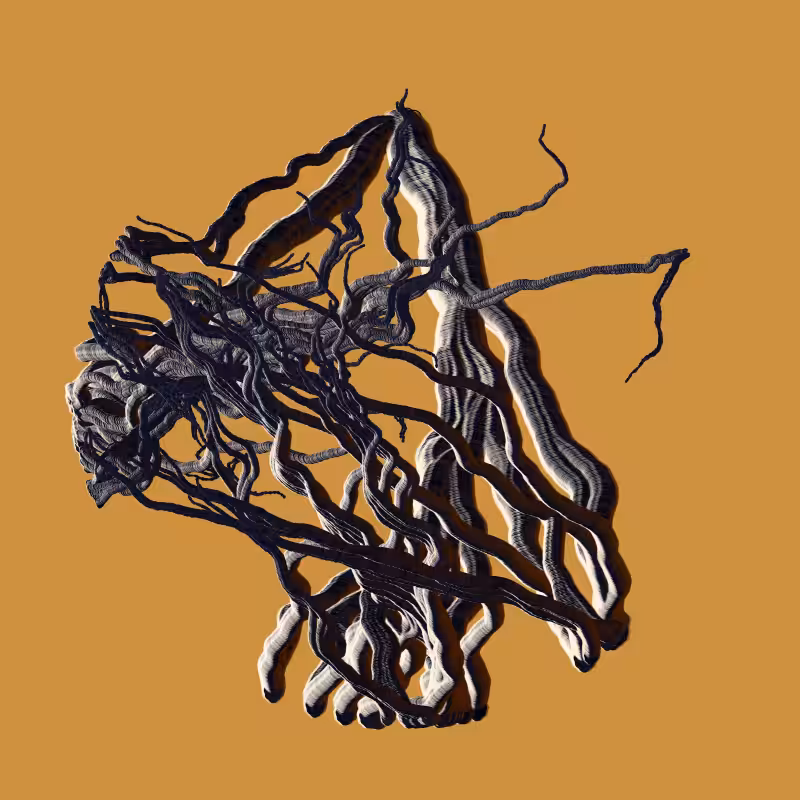Root #9