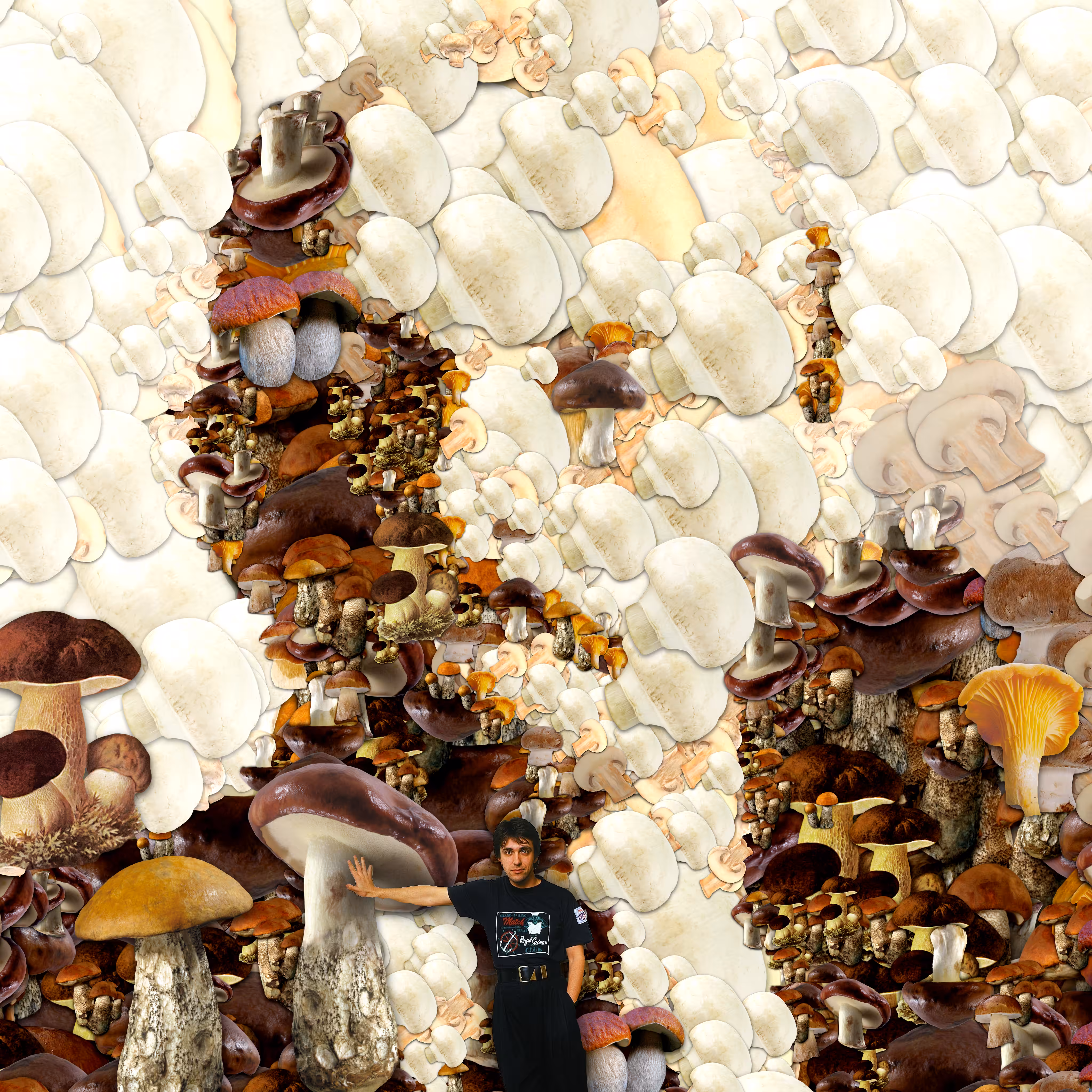 Lenin Grib (Lenin was a Mushroom)