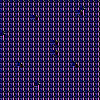 CGA Safari #17