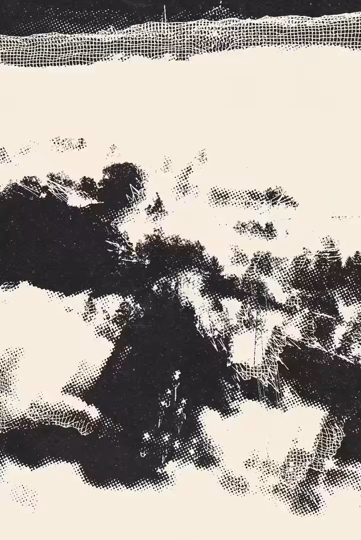 SURFACING #4