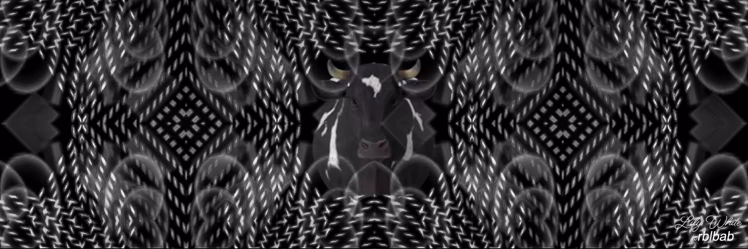 Social Media Banner 4