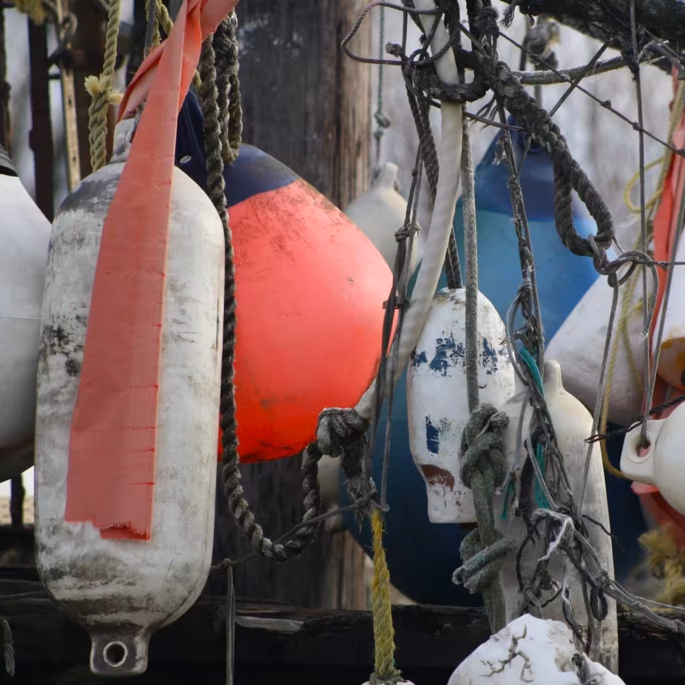 Buoy Pier