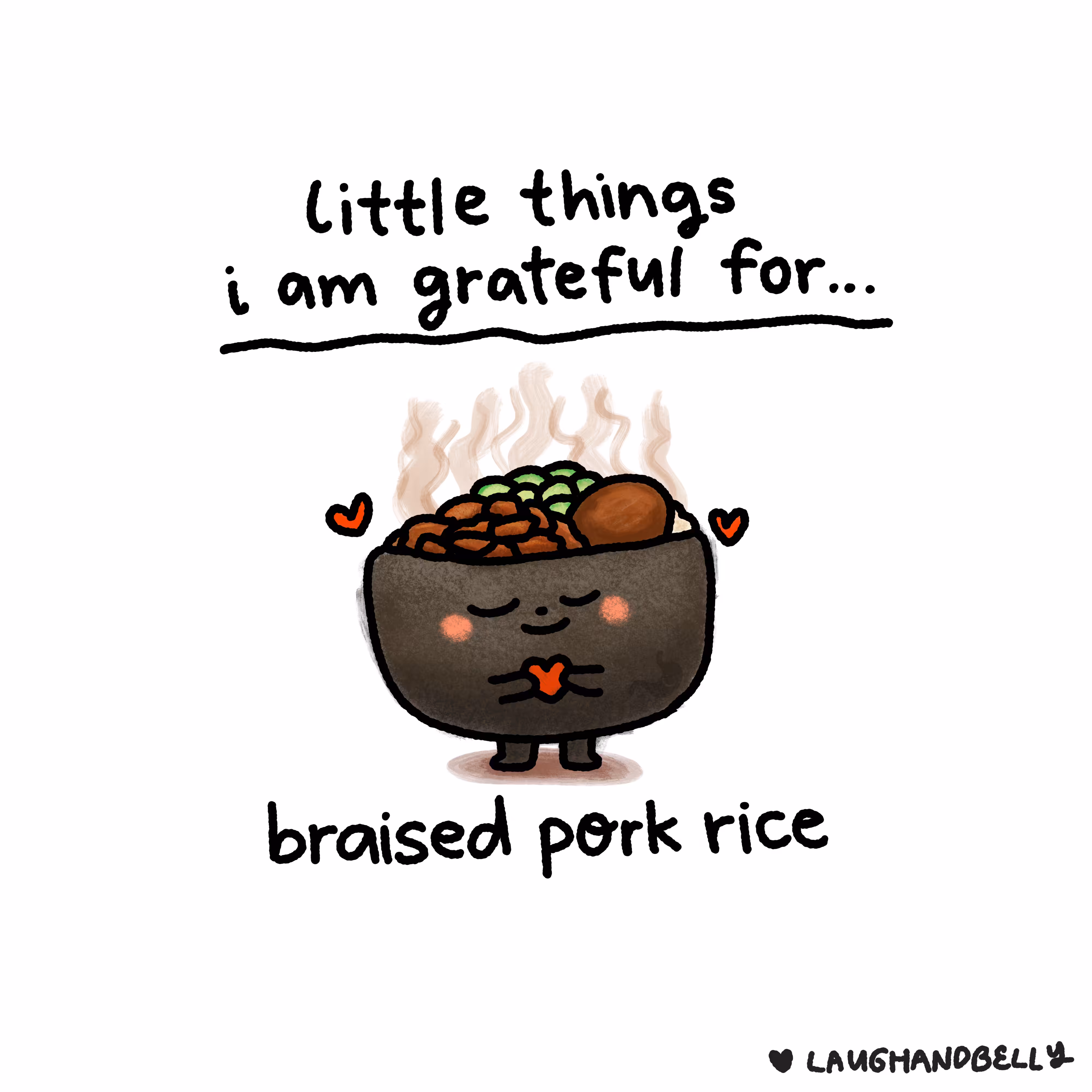 little things i am grateful for: Braised Pork Rice