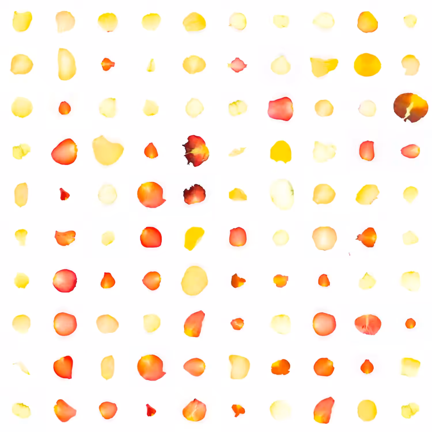 Infinite Petals 10x10#1500
