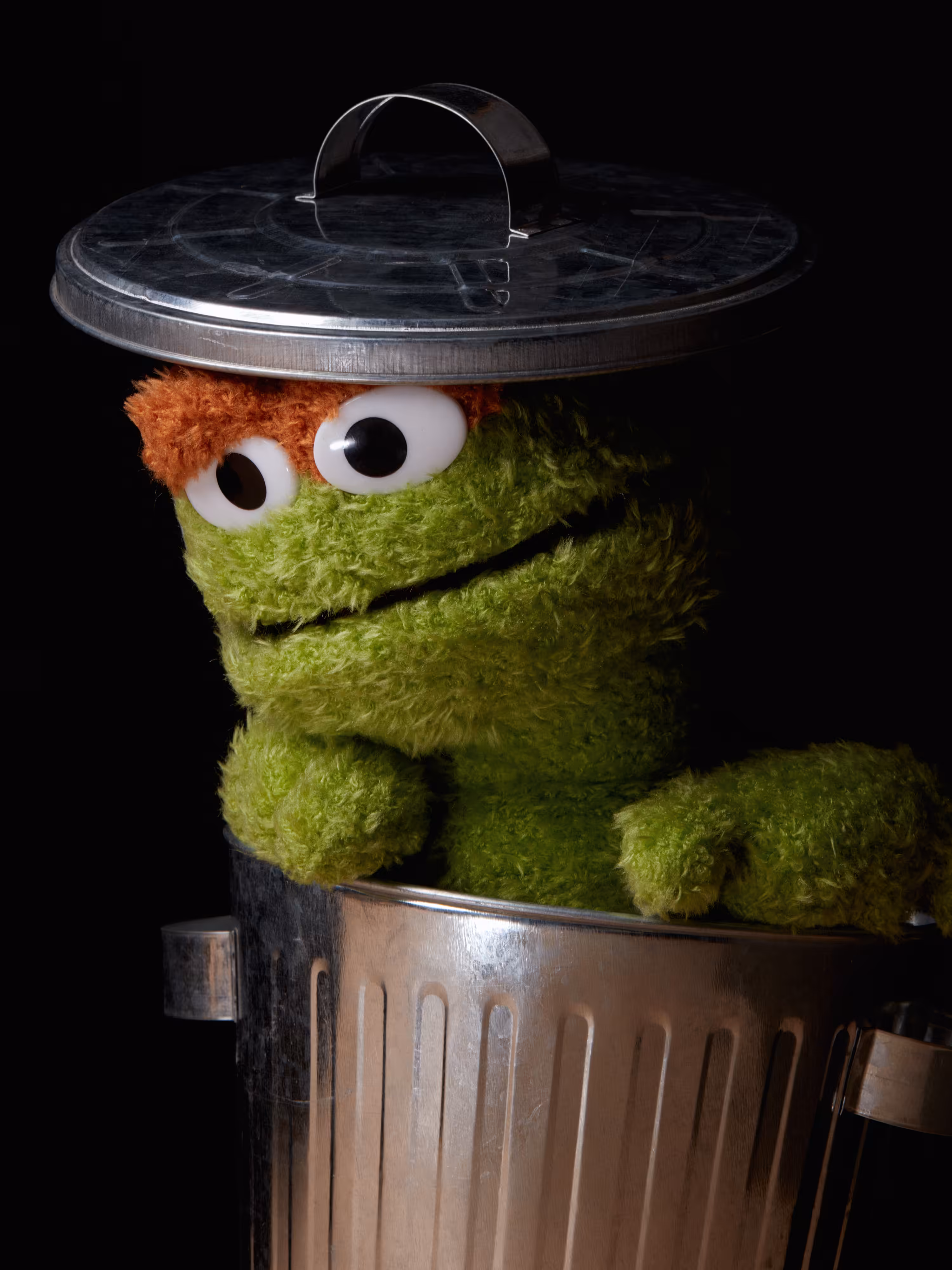 Portrait of a Grouch