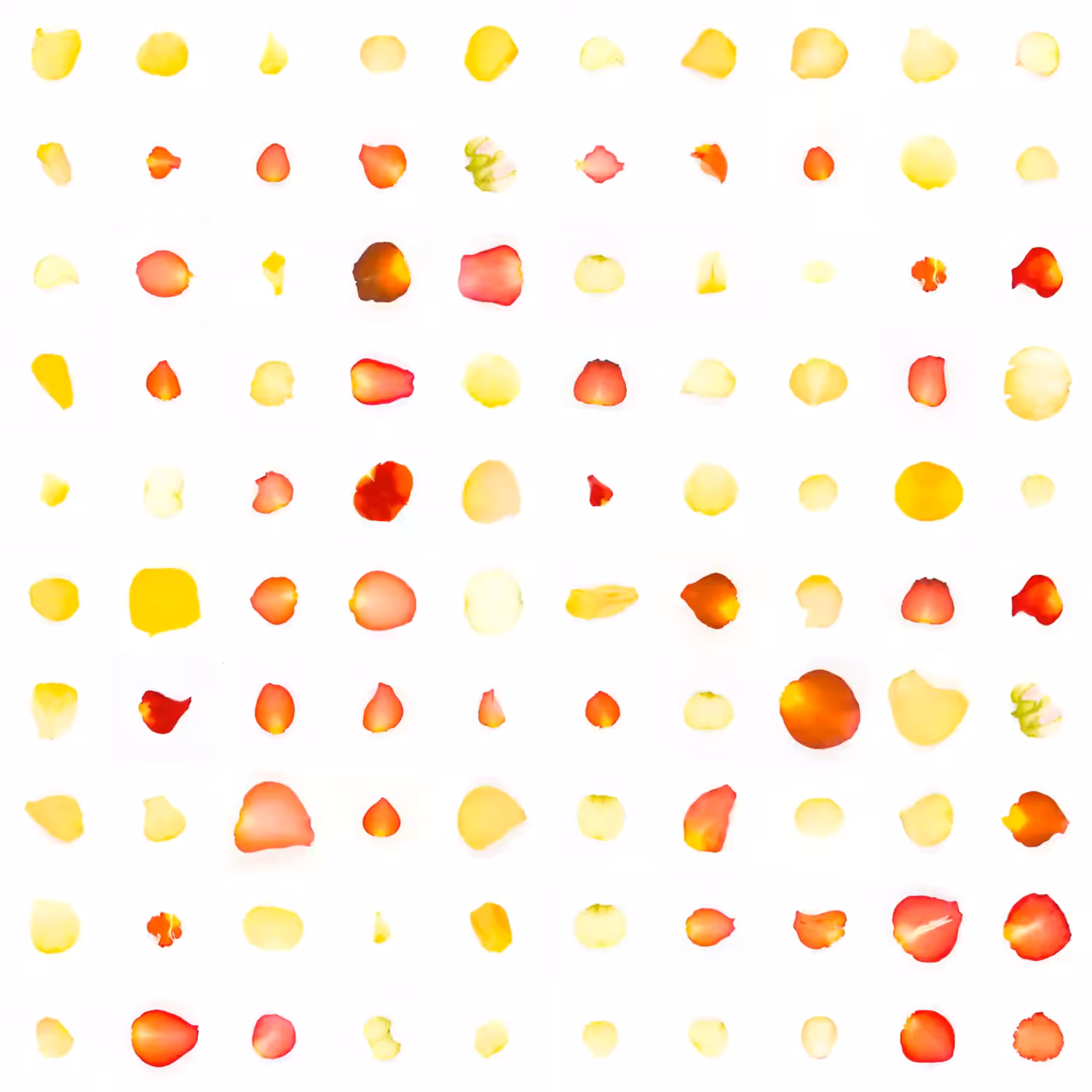 Infinite Petals 10x10#2643
