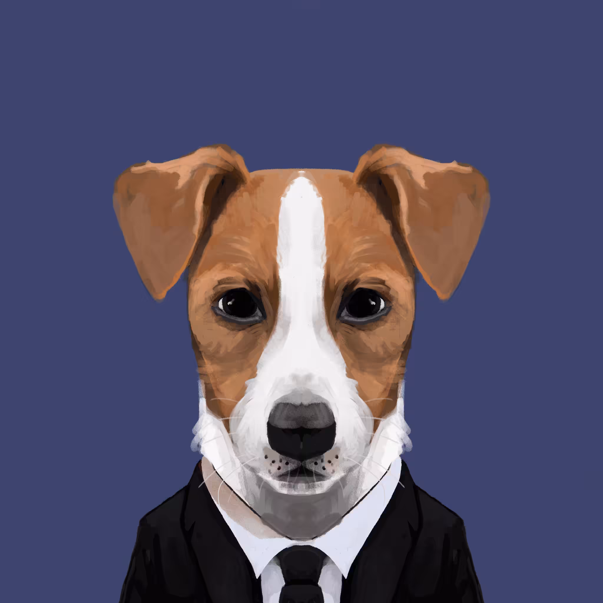 #019 Jack Russell Terrier