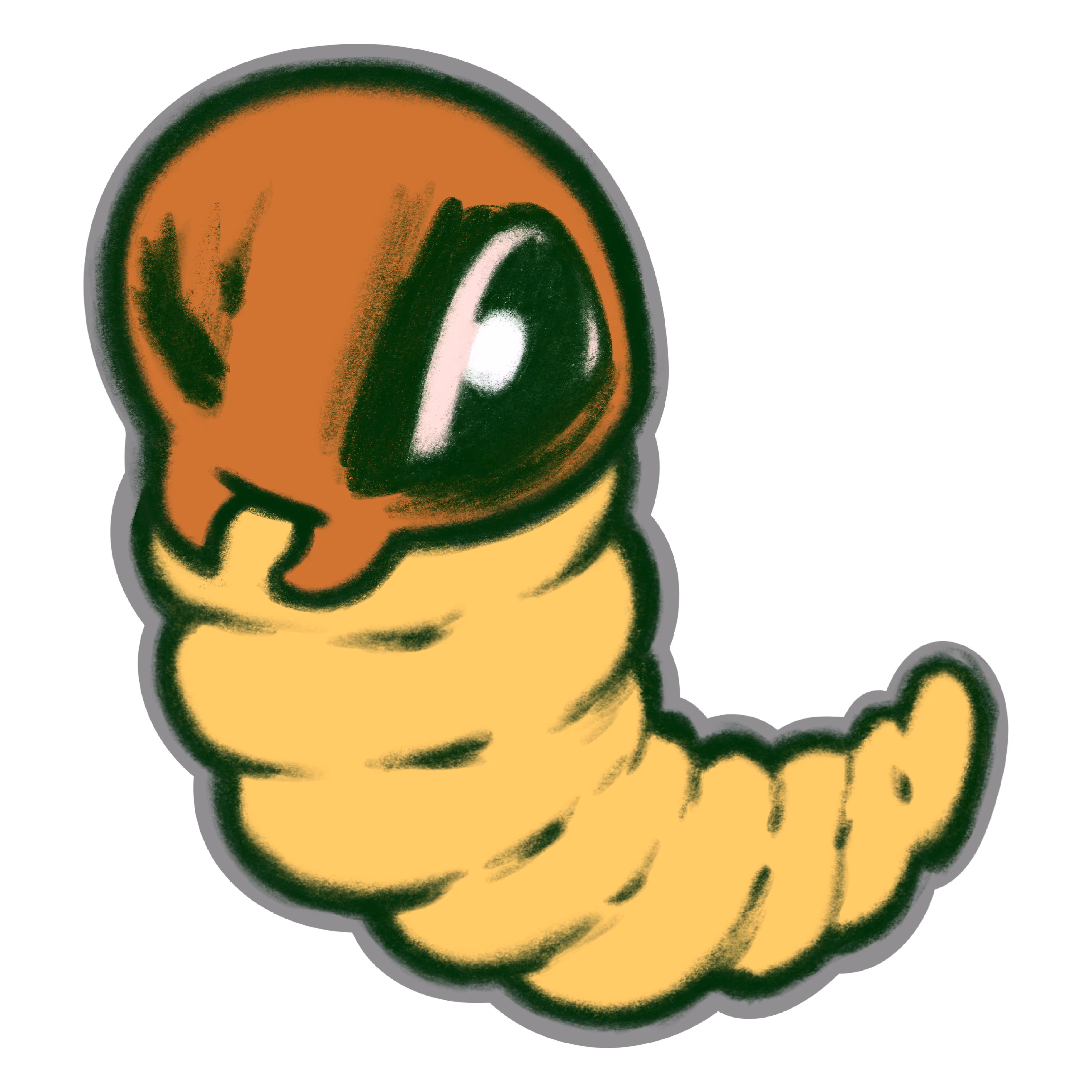 MAGGOT