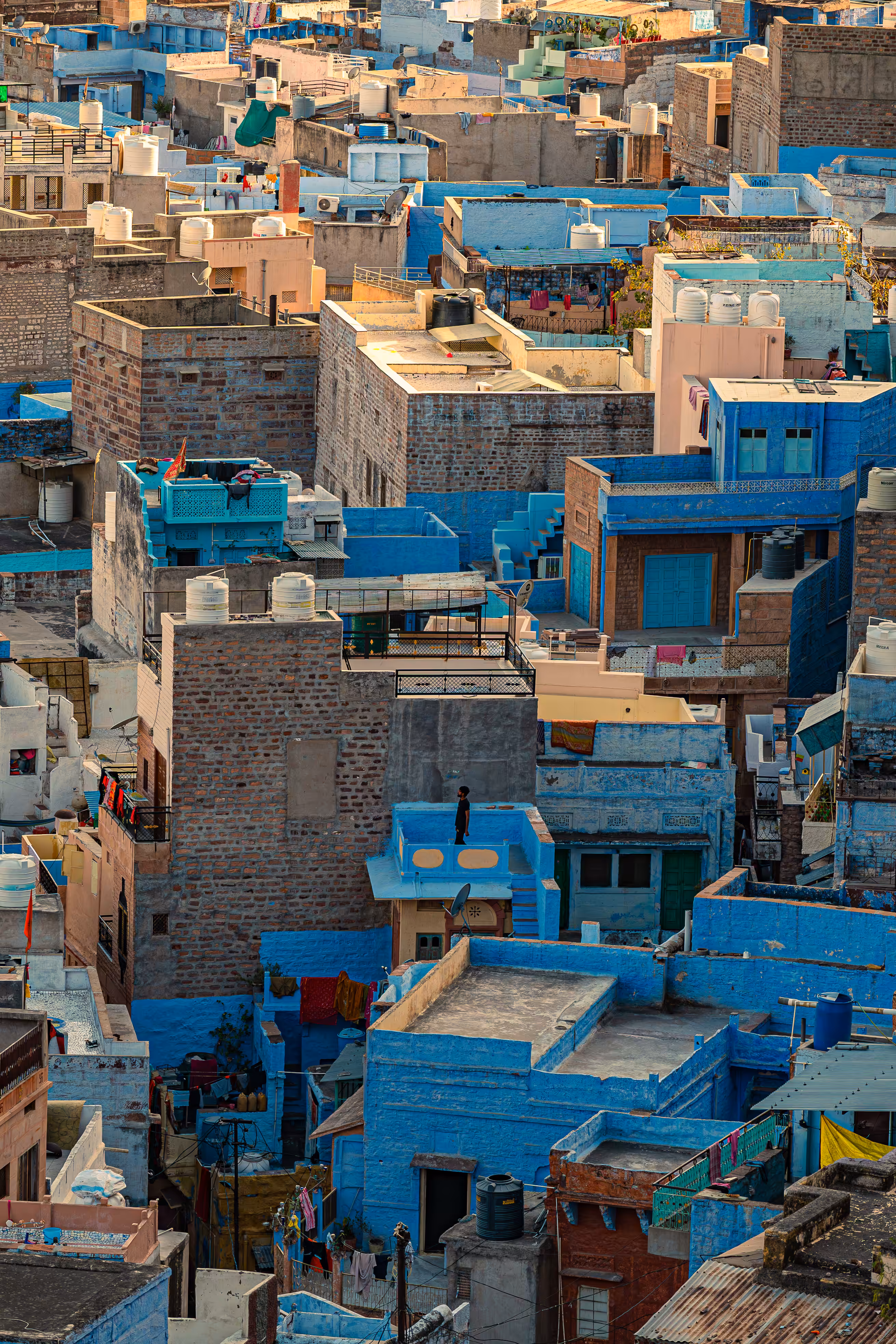 Blue Mosaic