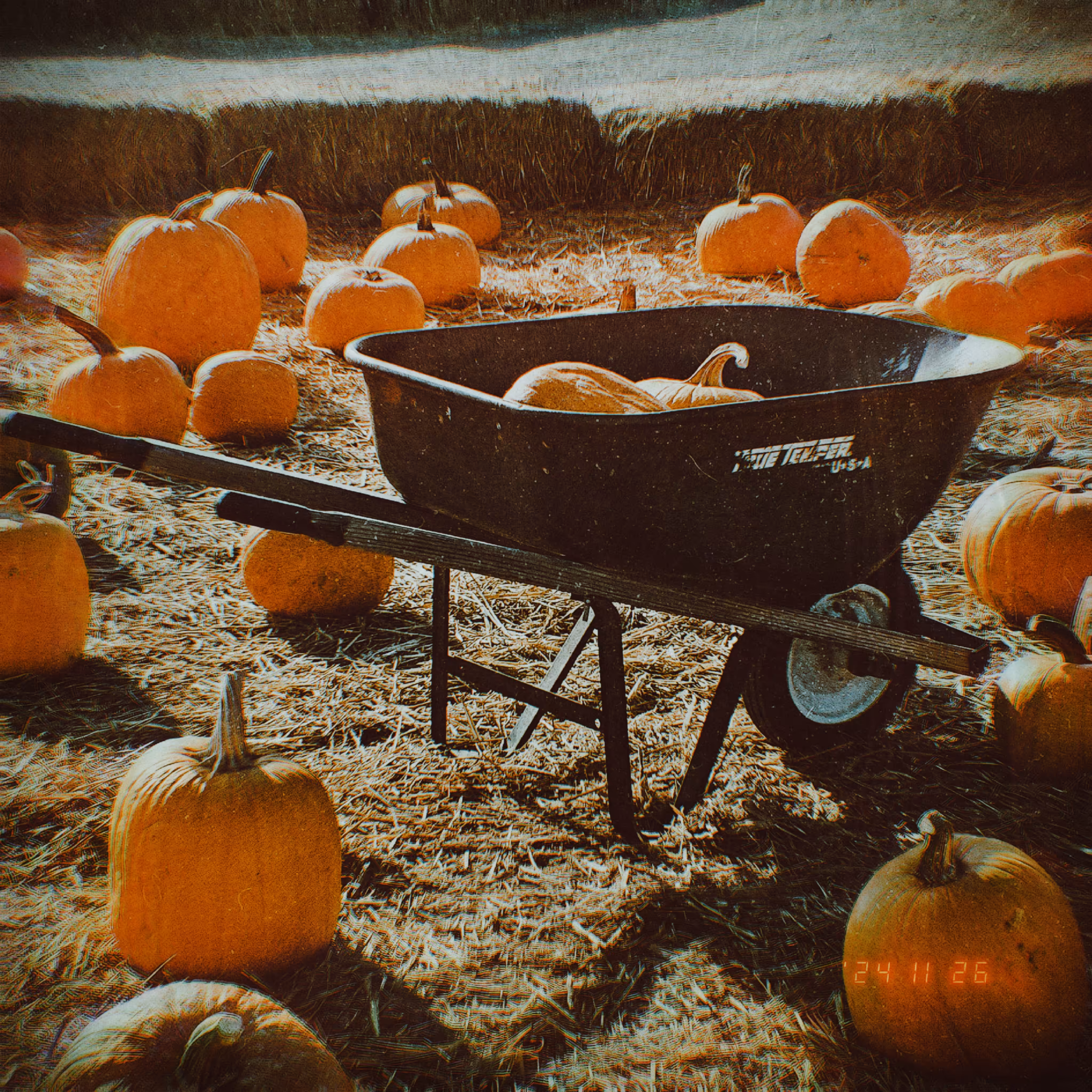 :a Visual Odyssey:: Day 331/365