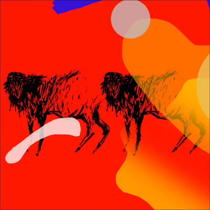 tHE sHEEP #5