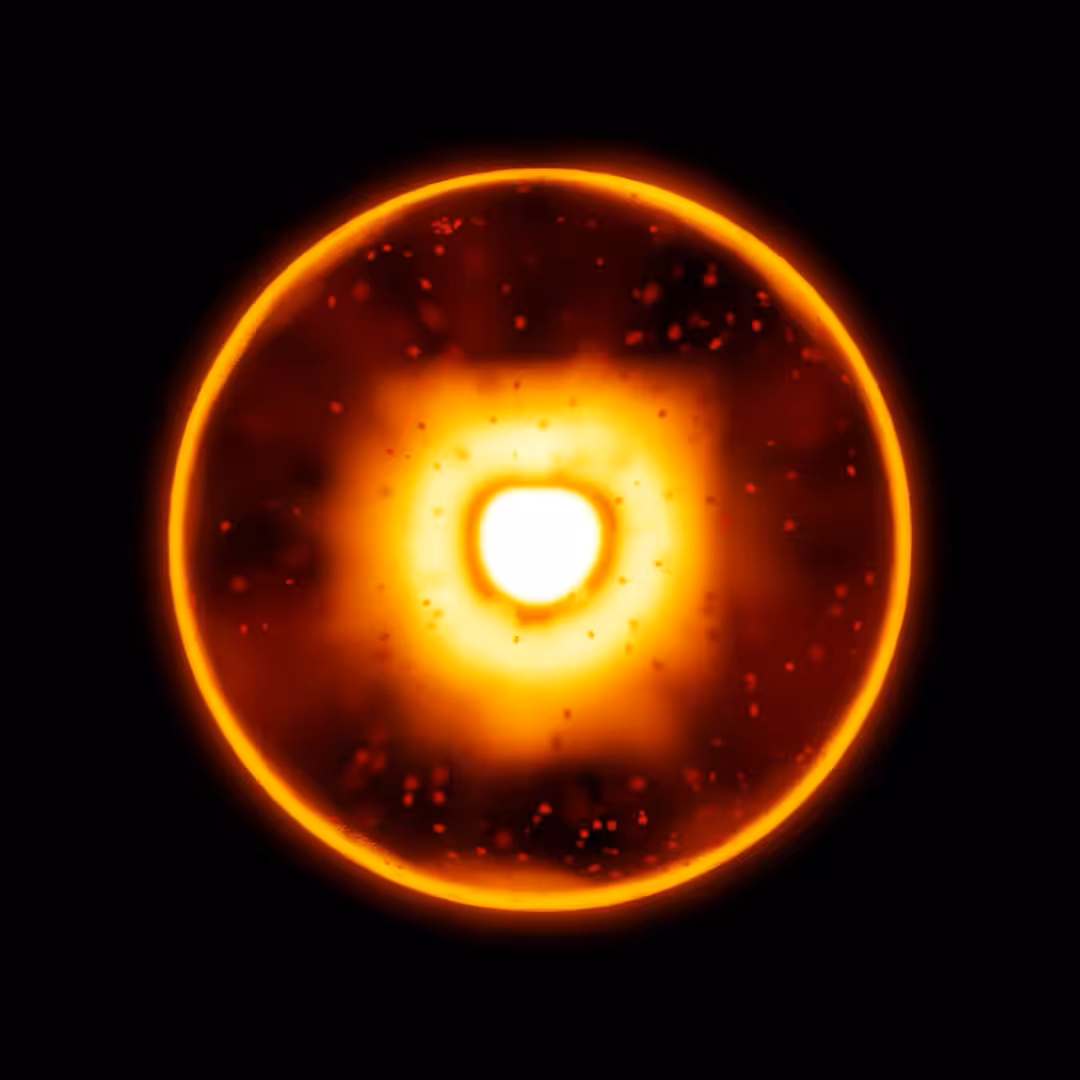 Anomaly - 006