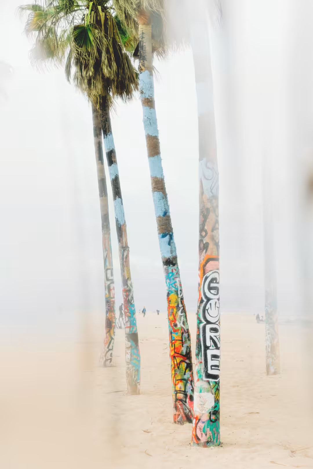 Venice Beach