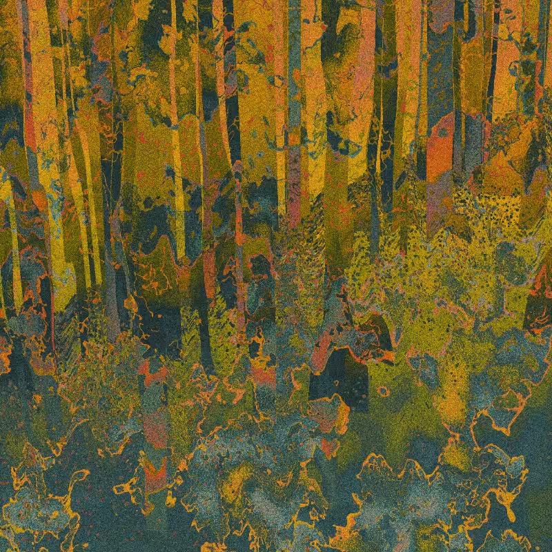 Fever Dream Fairy Fantasy Forest #47