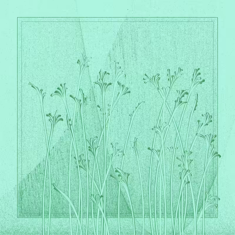 string_pllu #67