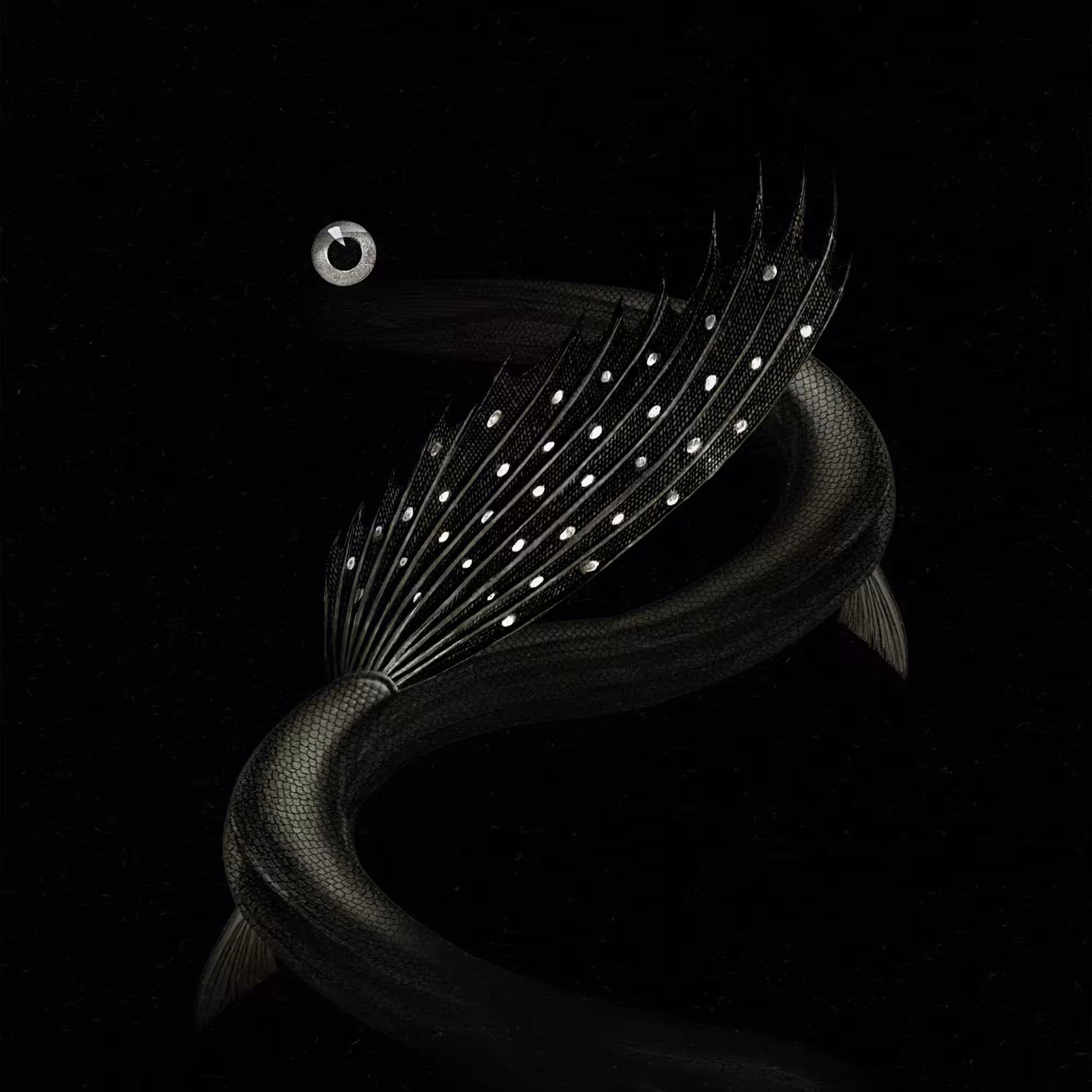 Deep Sea Cryptozoology Specimen /NC#2