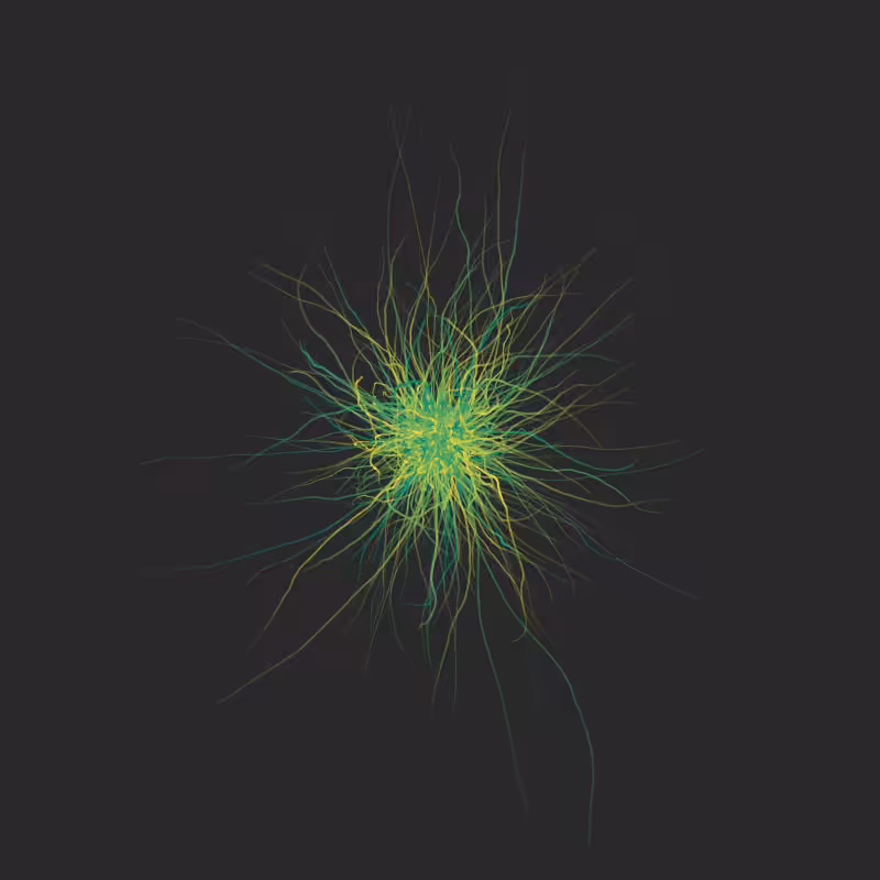 Artificial Flower 2 (2022), walkers series #4