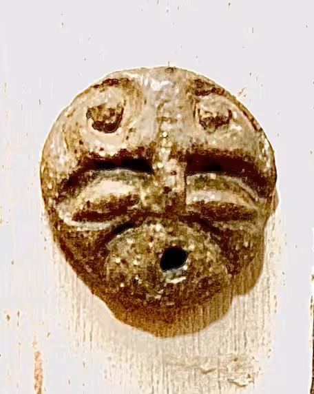 The FACE of the Earth
