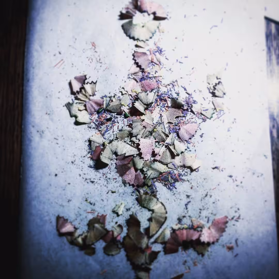 Flower of photos 