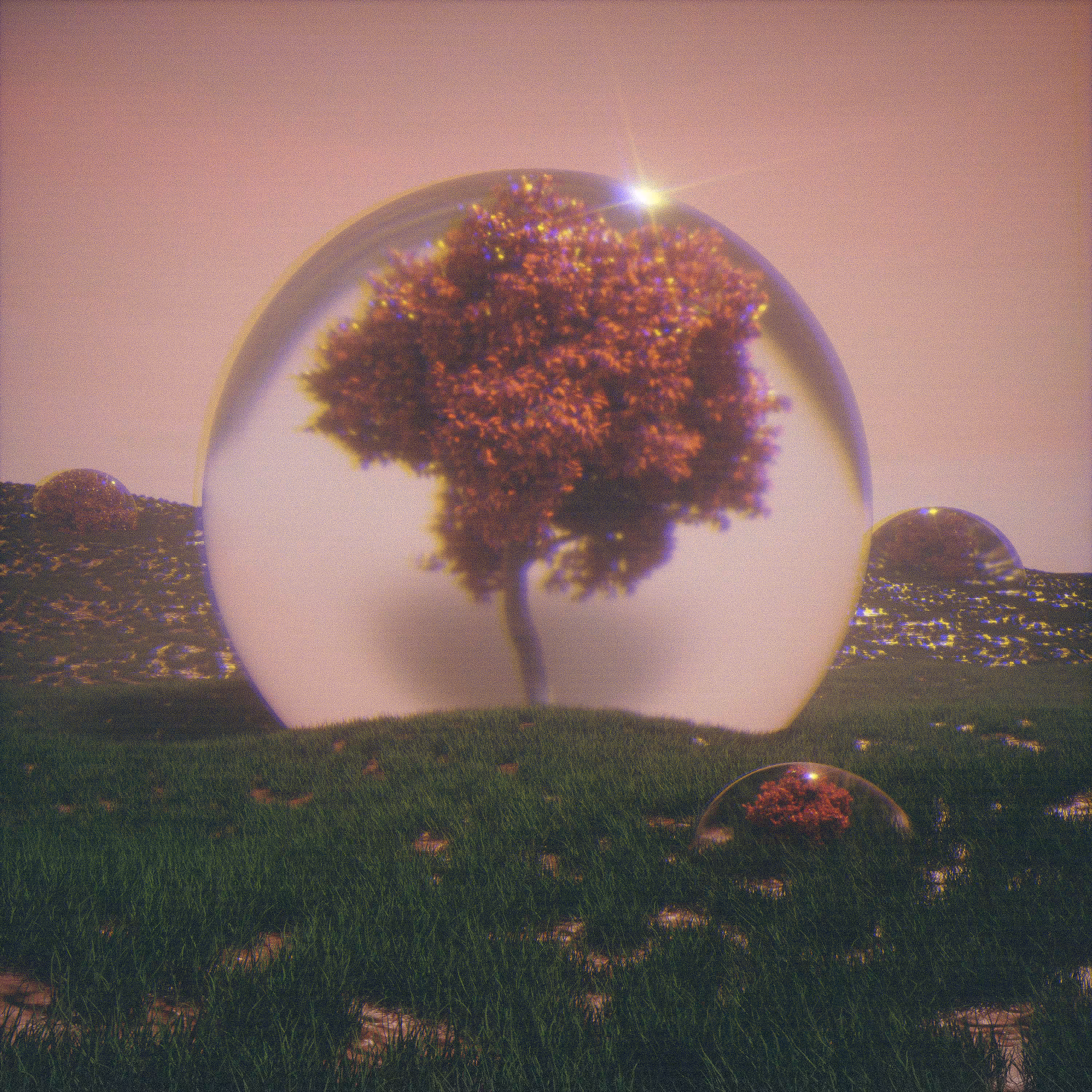 [ ARBOR BUBBLES ] _ 004