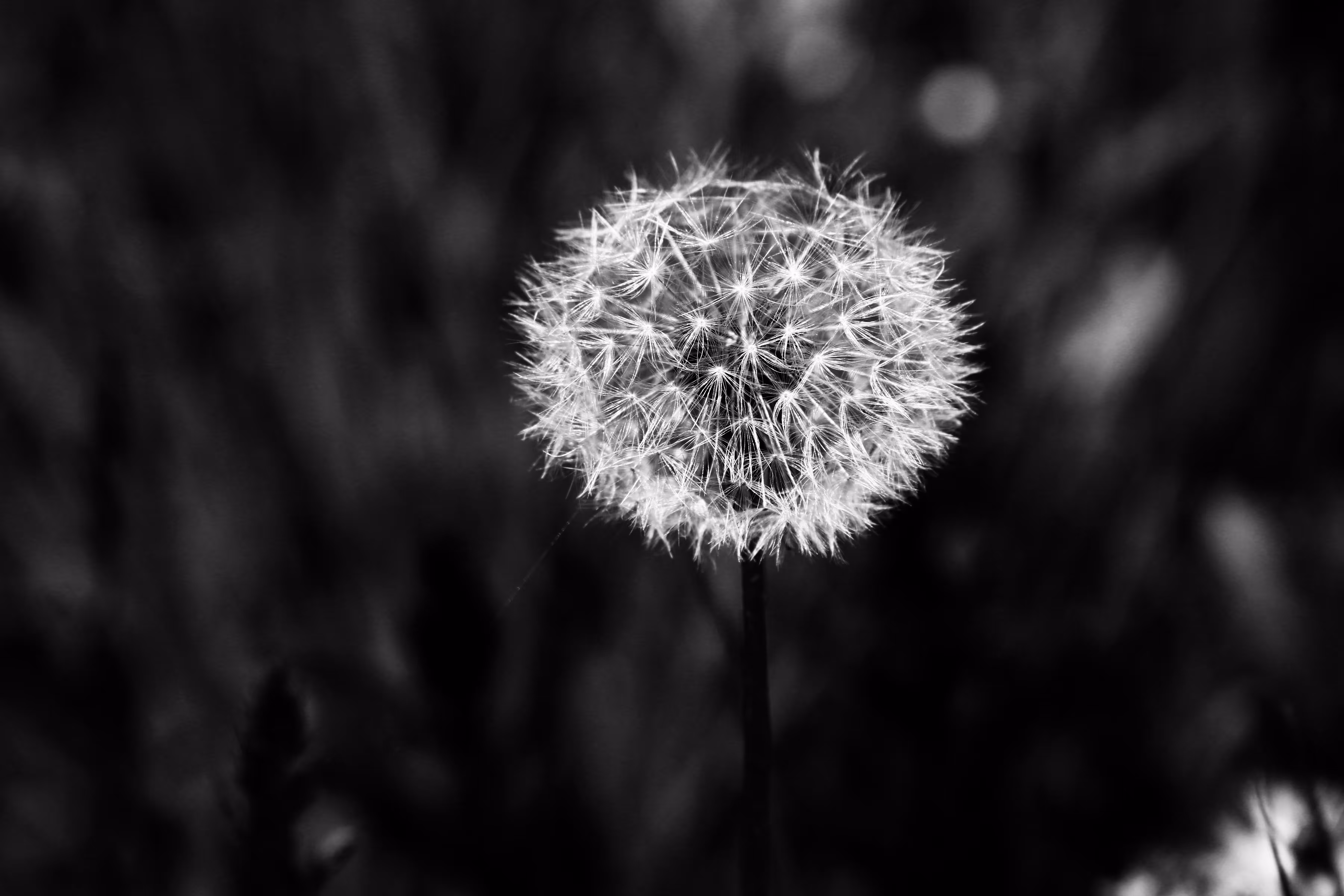 _promises