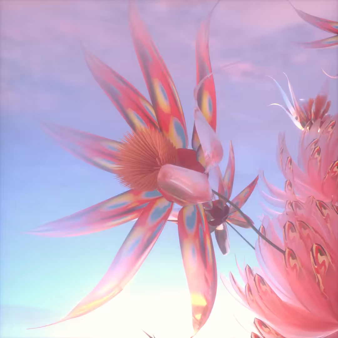 Bird of paradise