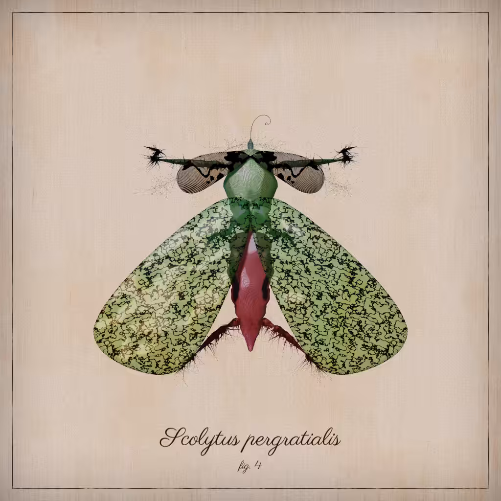 ProcGen Entomology #295