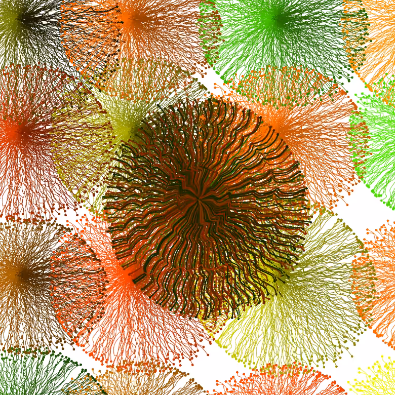 CircuWeb #15
