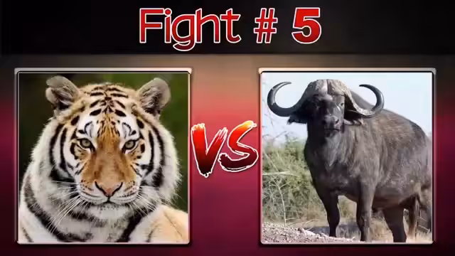 RKO!!
