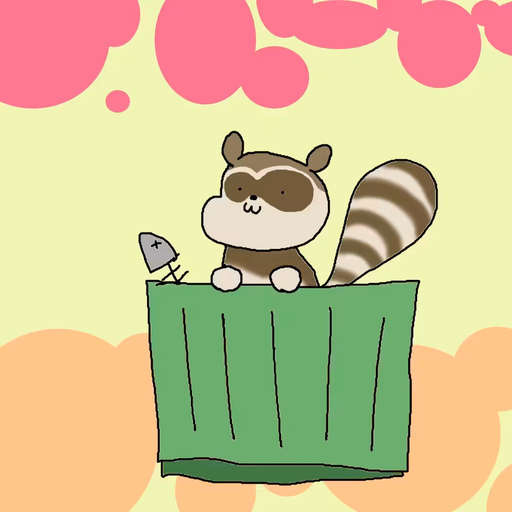 Raccoon