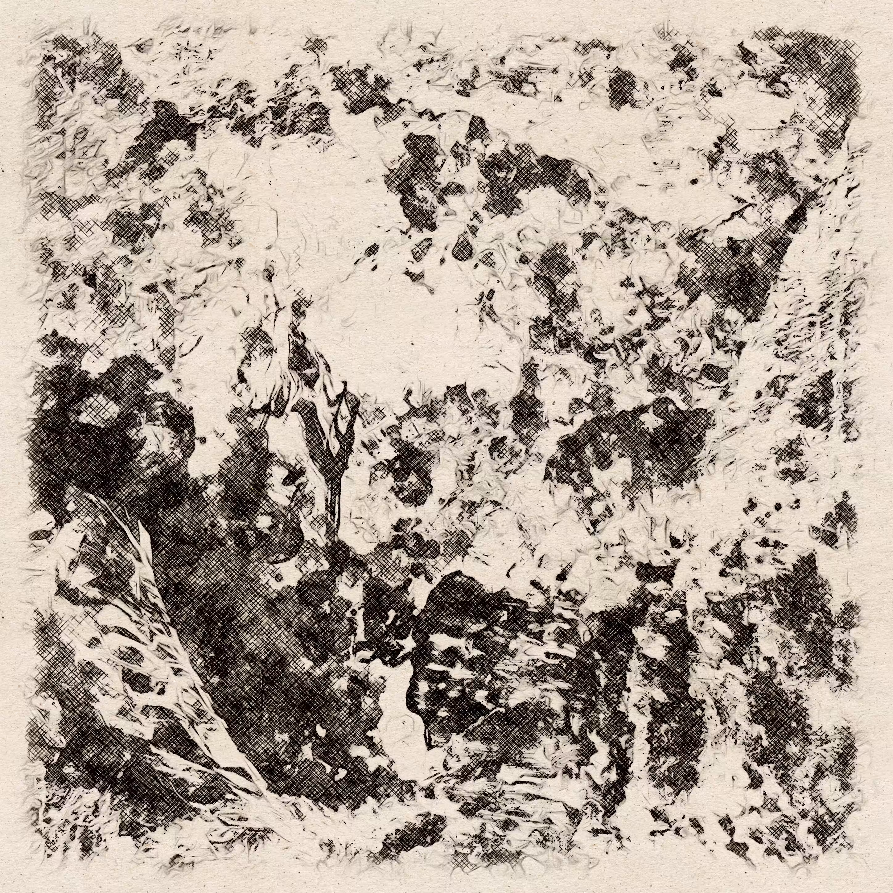 Mountains - generative Art