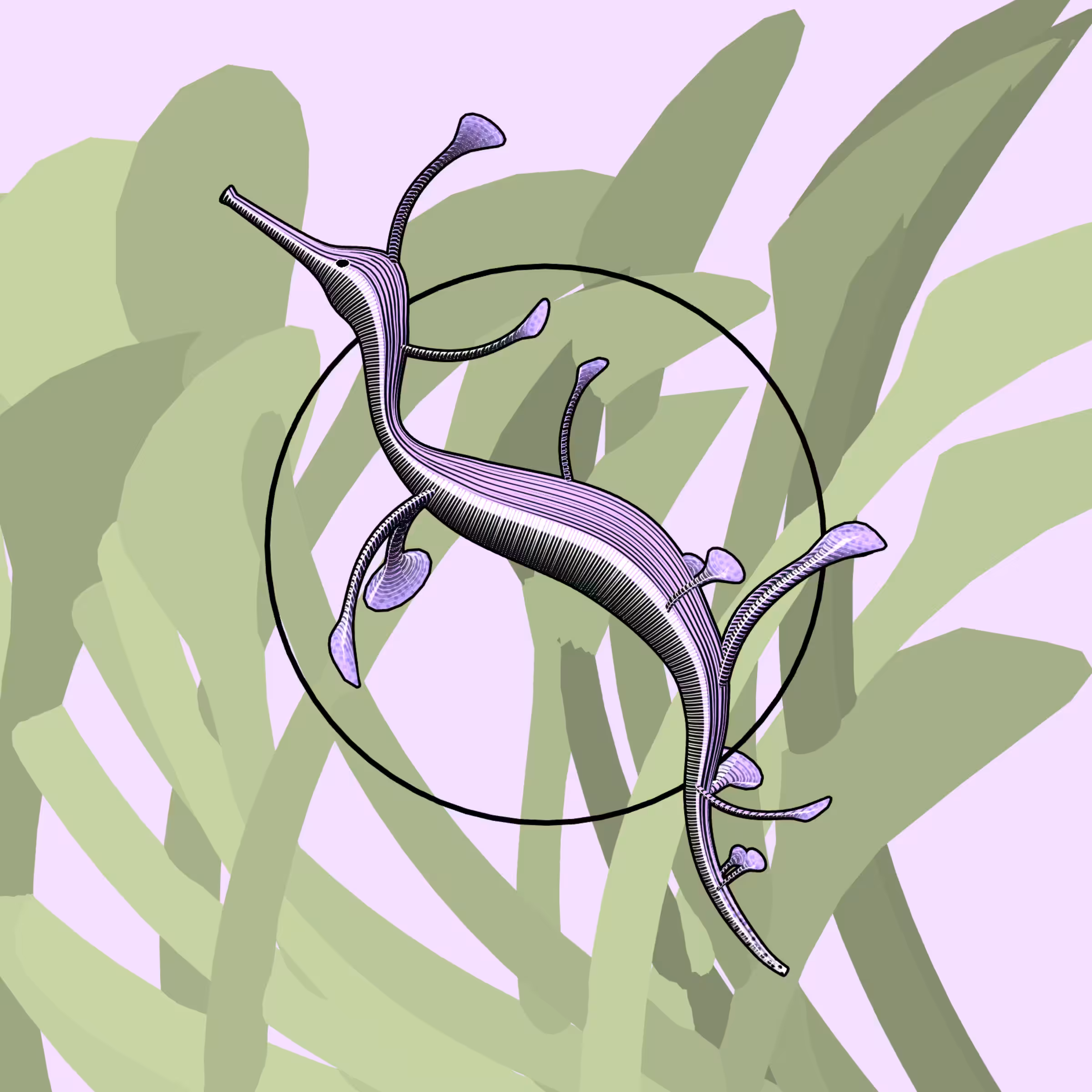 Seadragons #406