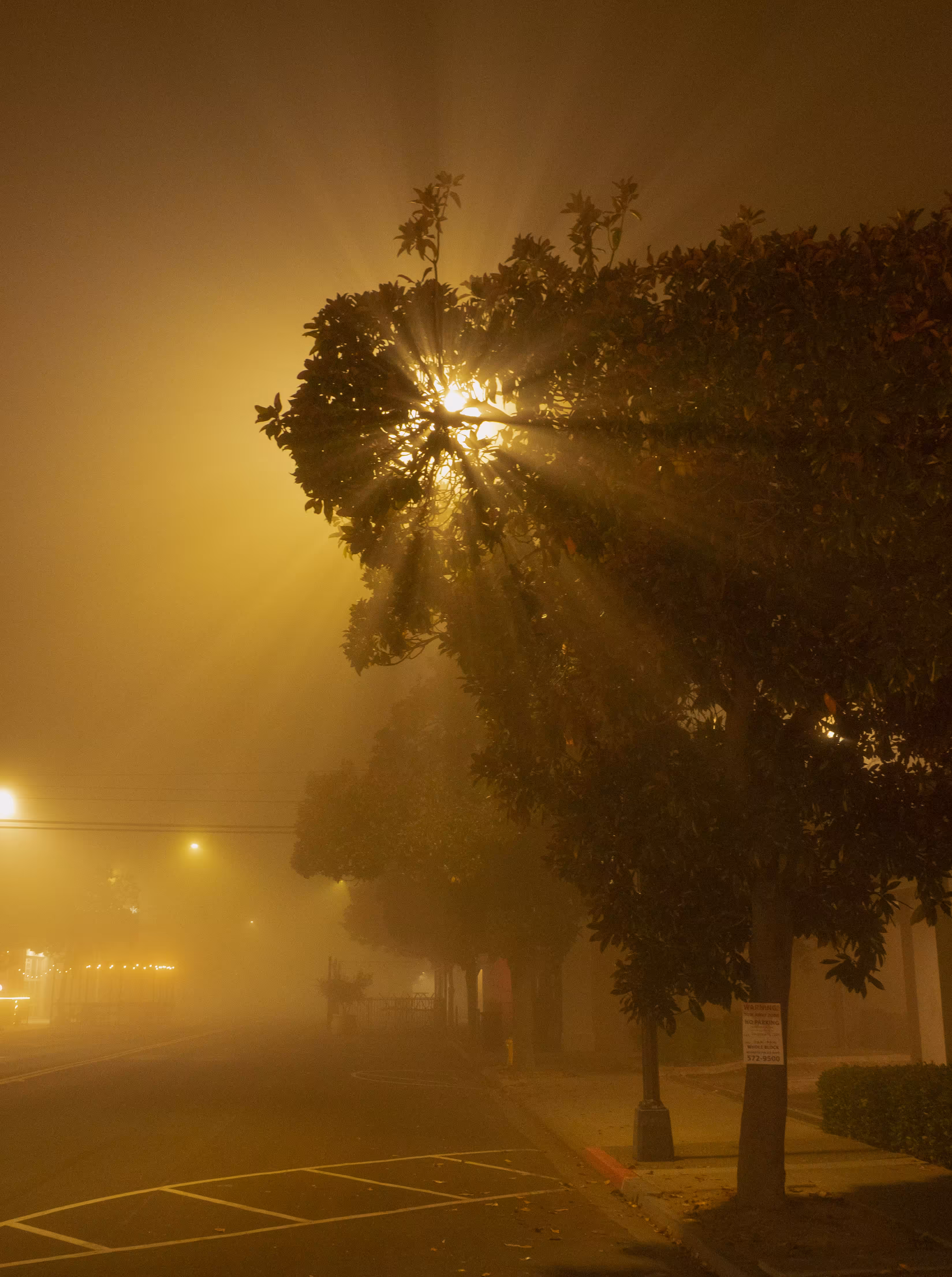 why is it so dark outside.: LUMINANCE.