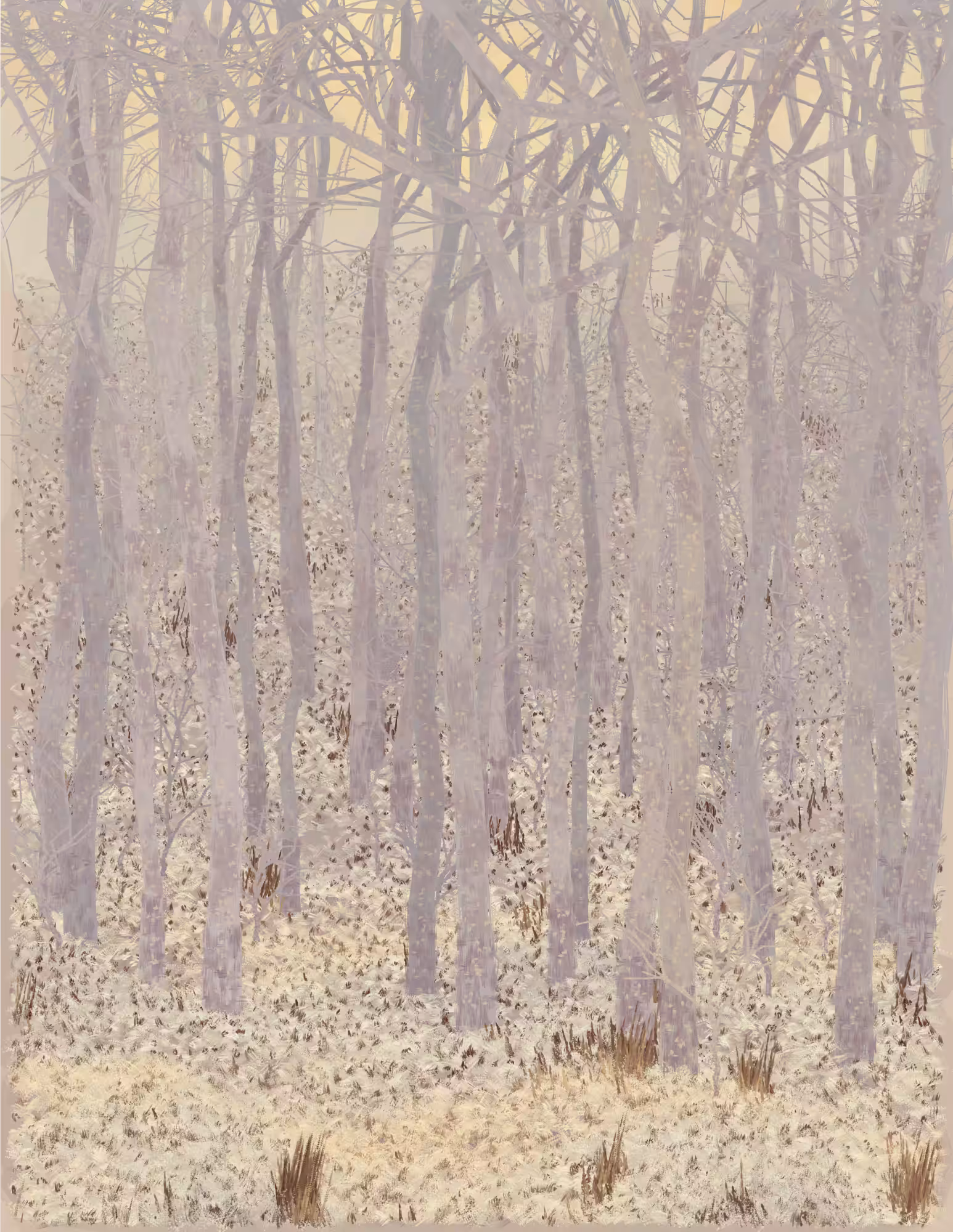 Deep Forest #98