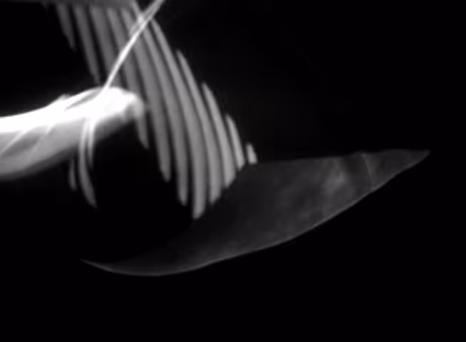 Analog Fabric – Signal Culture Study 01