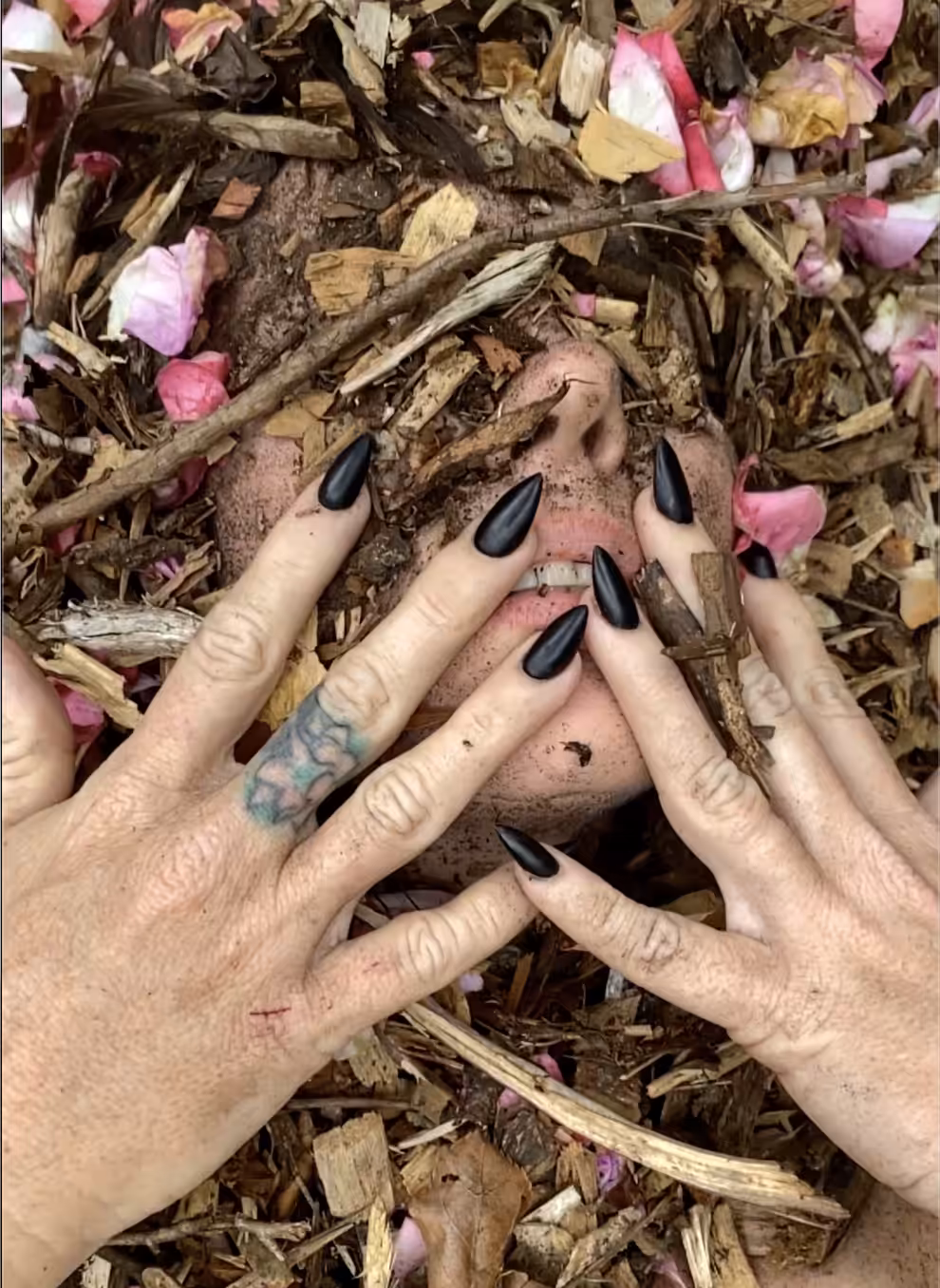 Roses I