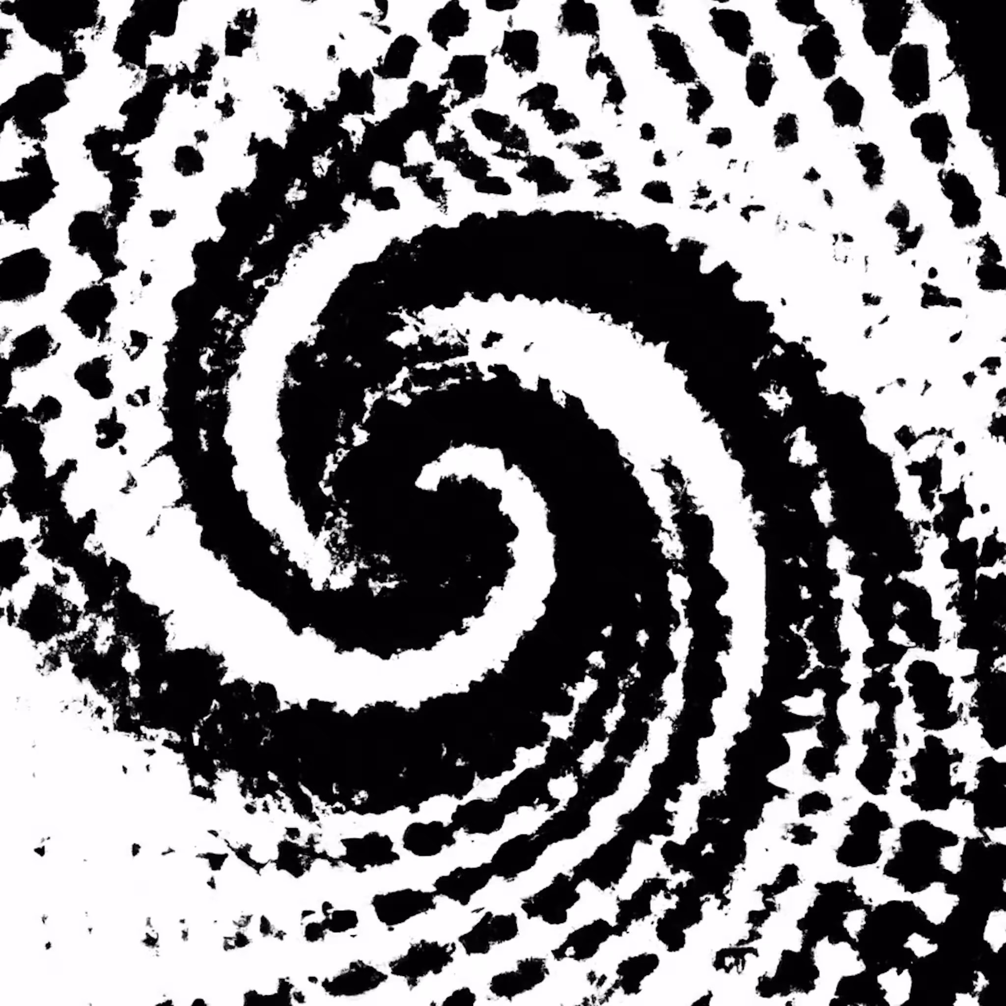 Vortex5